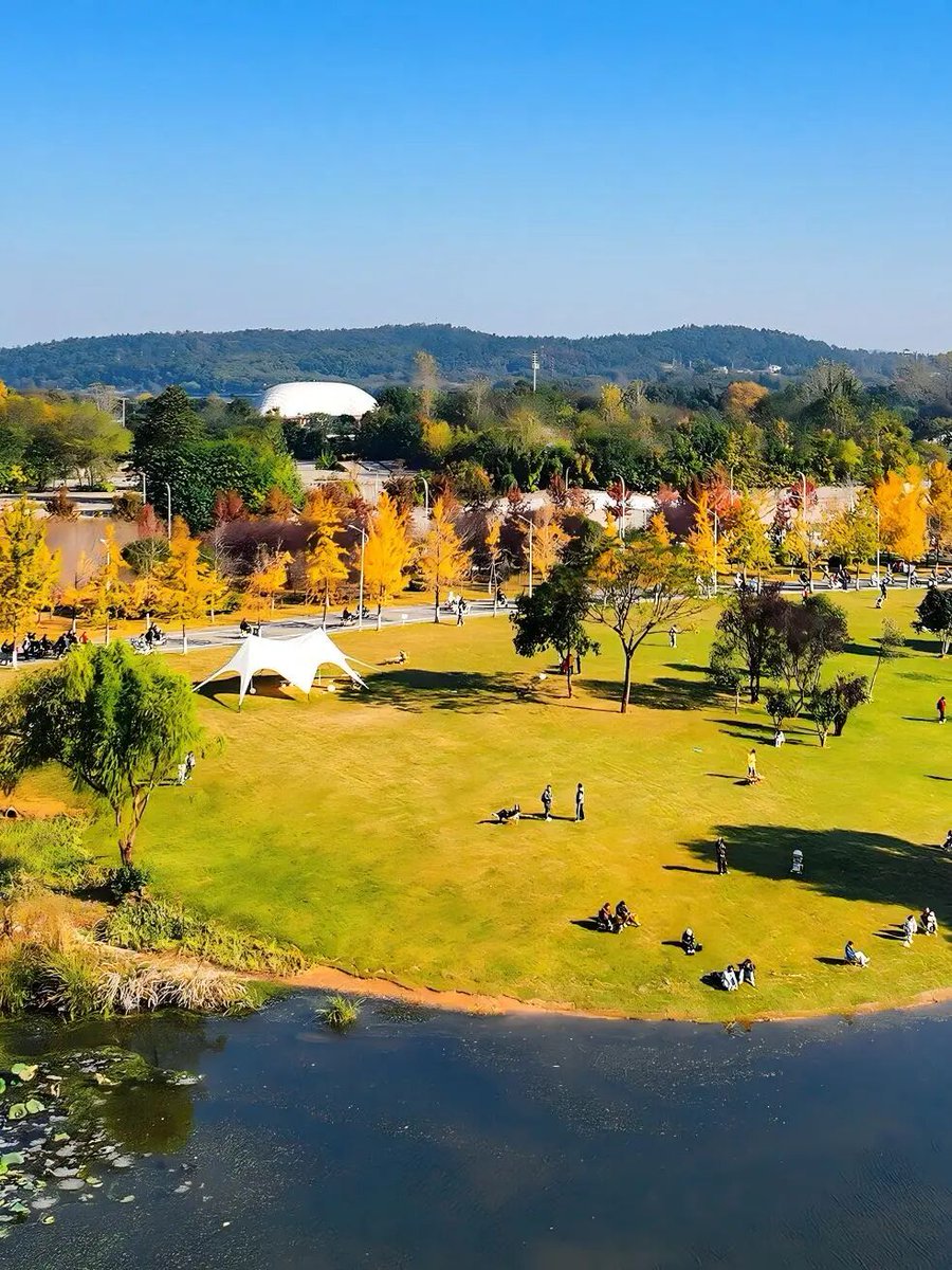 Huazhong University of Science and Technology tweet media