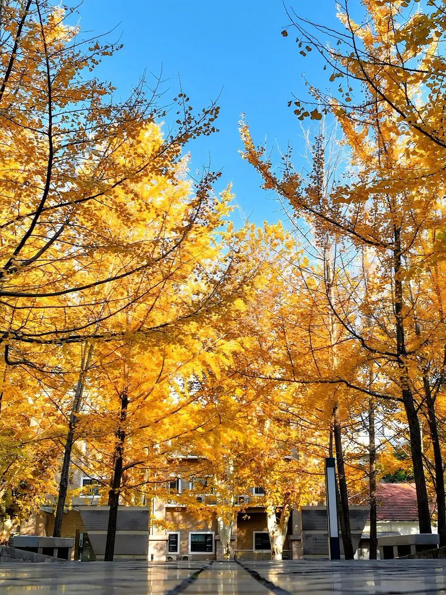 Huazhong University of Science and Technology tweet media