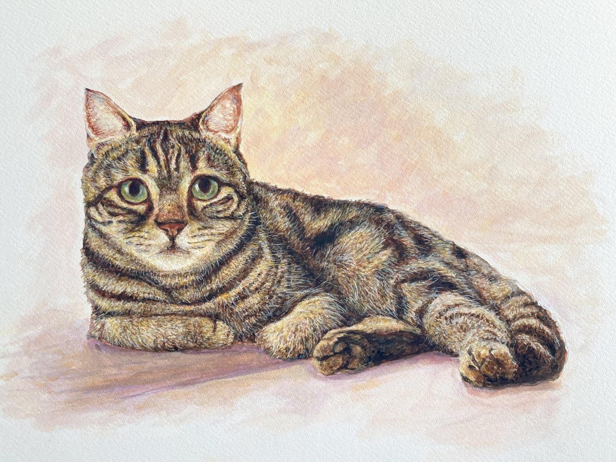 猫絵 🐈‍🖼の途中経過 in progress その4 あまり進んでませんが、筆の