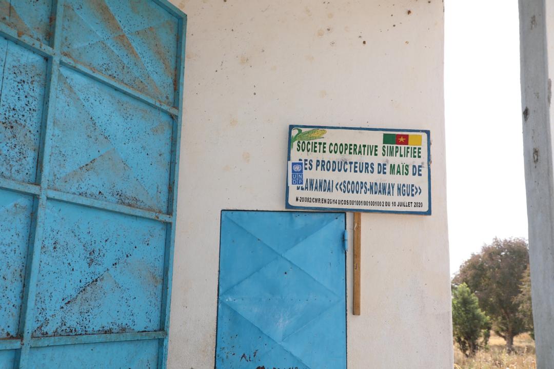 PNUDCameroun's tweet photo. 🌾 Une variété d'opportunités de subsistance durable, pour des familles. grace au @PNUDCameroun 
Les magasins de stockage des GIC à #Ldamang EN🇨🇲, témoins d’un travail acharné et d’une résilience exemplaire. Le renforcement des hangars et boutiques à ##Tourou & #Assigachia s’annonce :
#StabilisationInAction