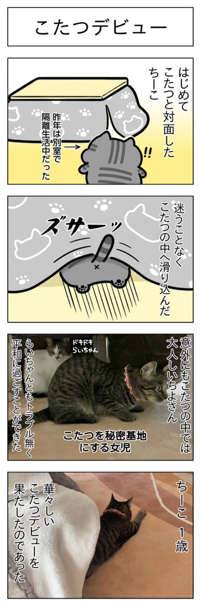 こたつ2025・こたつデビュー│フェリシモ猫部 https://t.co/qZUMOMOYFr 