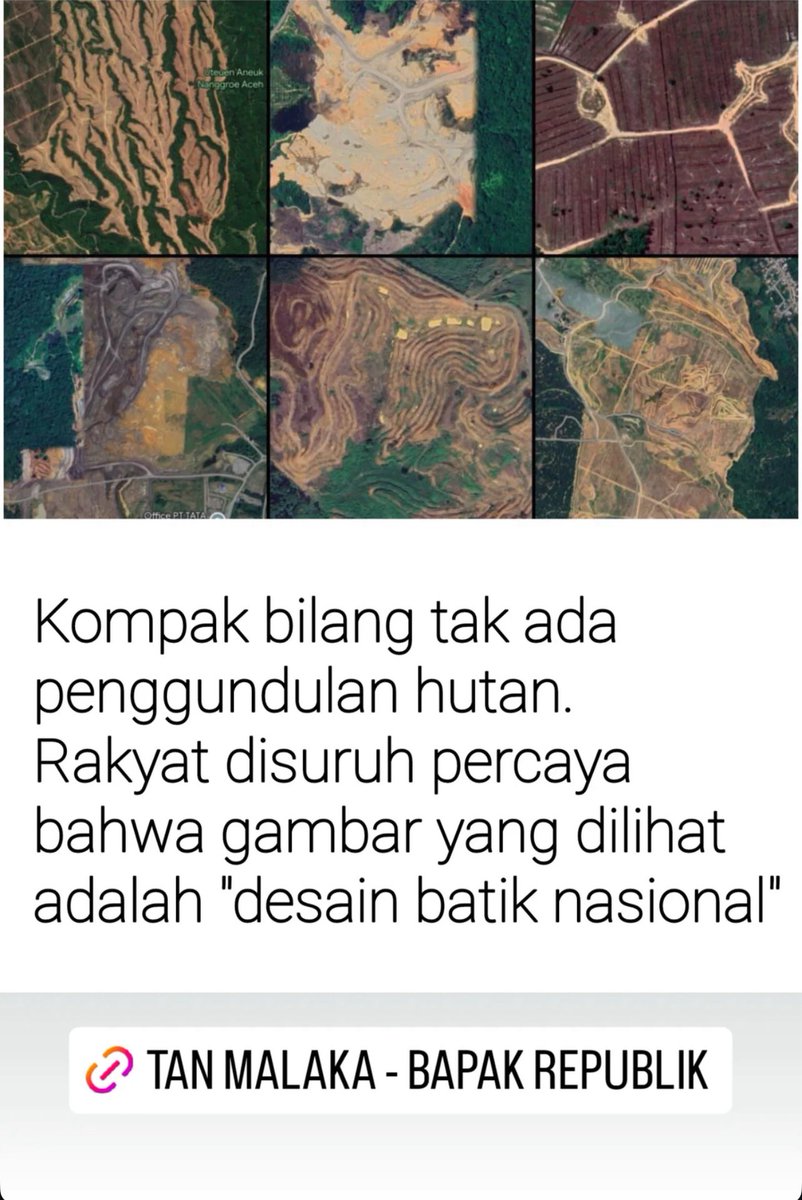 Kata Dea tweet media