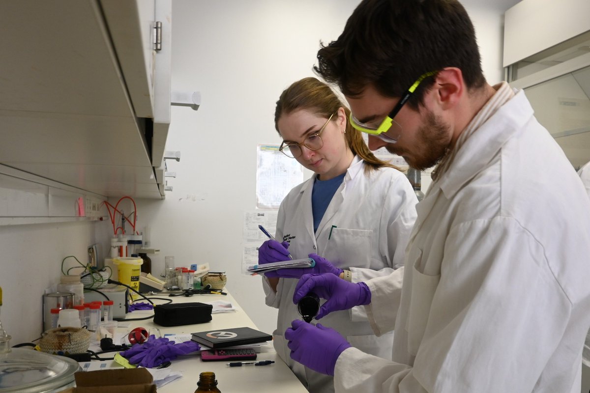 MAESTRI_DN tweet media