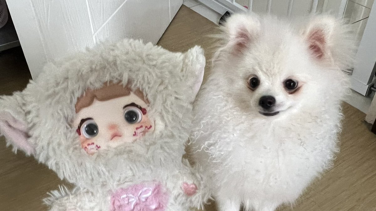 SAI 𑁍ࠬܓ sumu españa ( 13-14 ) tweet media