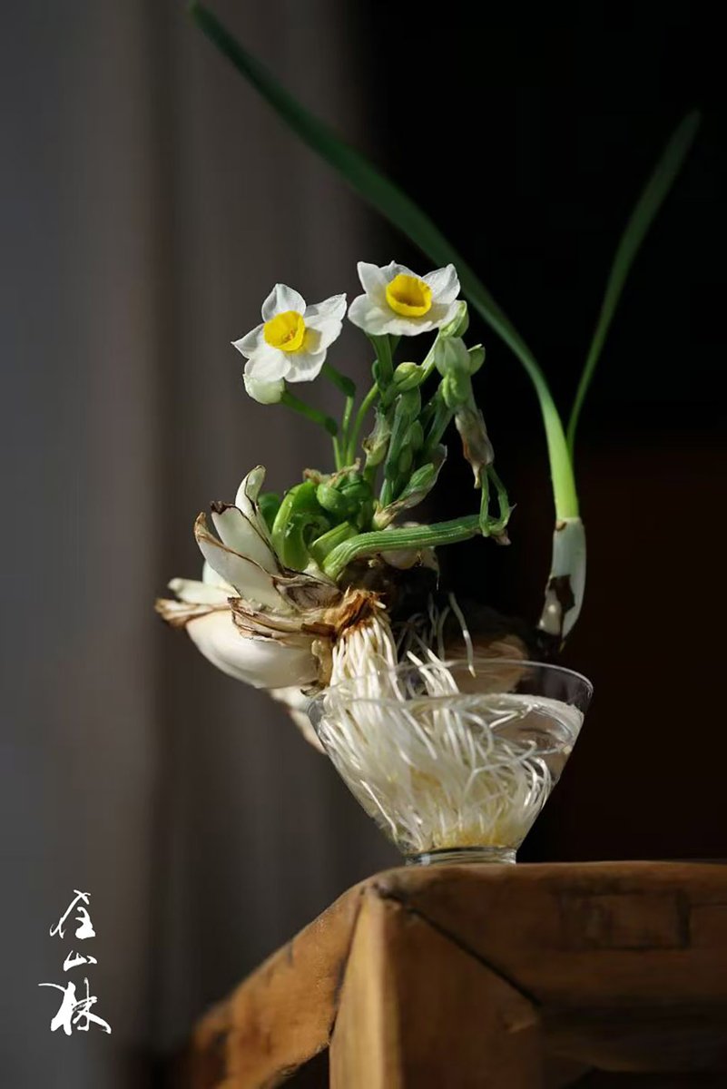 在山林 tweet media