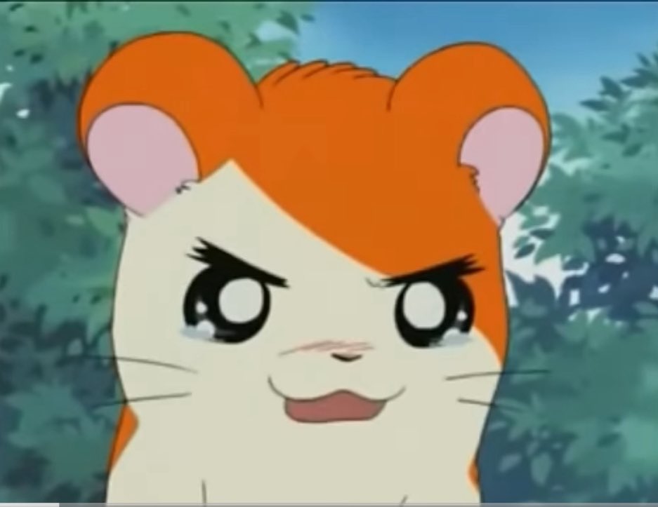 とろちゃん！ Toro Ch.飴色とろ - YouTube