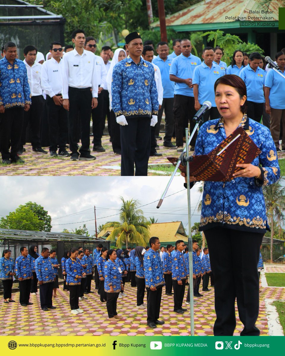 BBPP Kupang Gelar Upacara Peringatan Hari KORPRI ke-54

Senin, (01/12/25), BBPP Kupang melaksanakan upacara dalam rangka memperingati Hari Ulang Tahun KORPRI ke-54. Upacara ini menjadi wadah untuk merefleksikan peran penting ASN sebagai perekat bangsa.