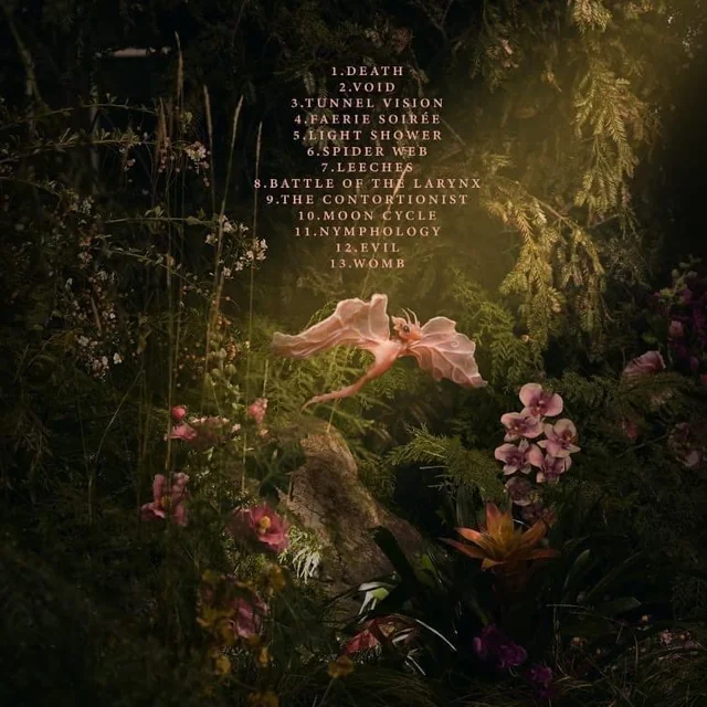 liz | saw mel ౨ৎ tweet media