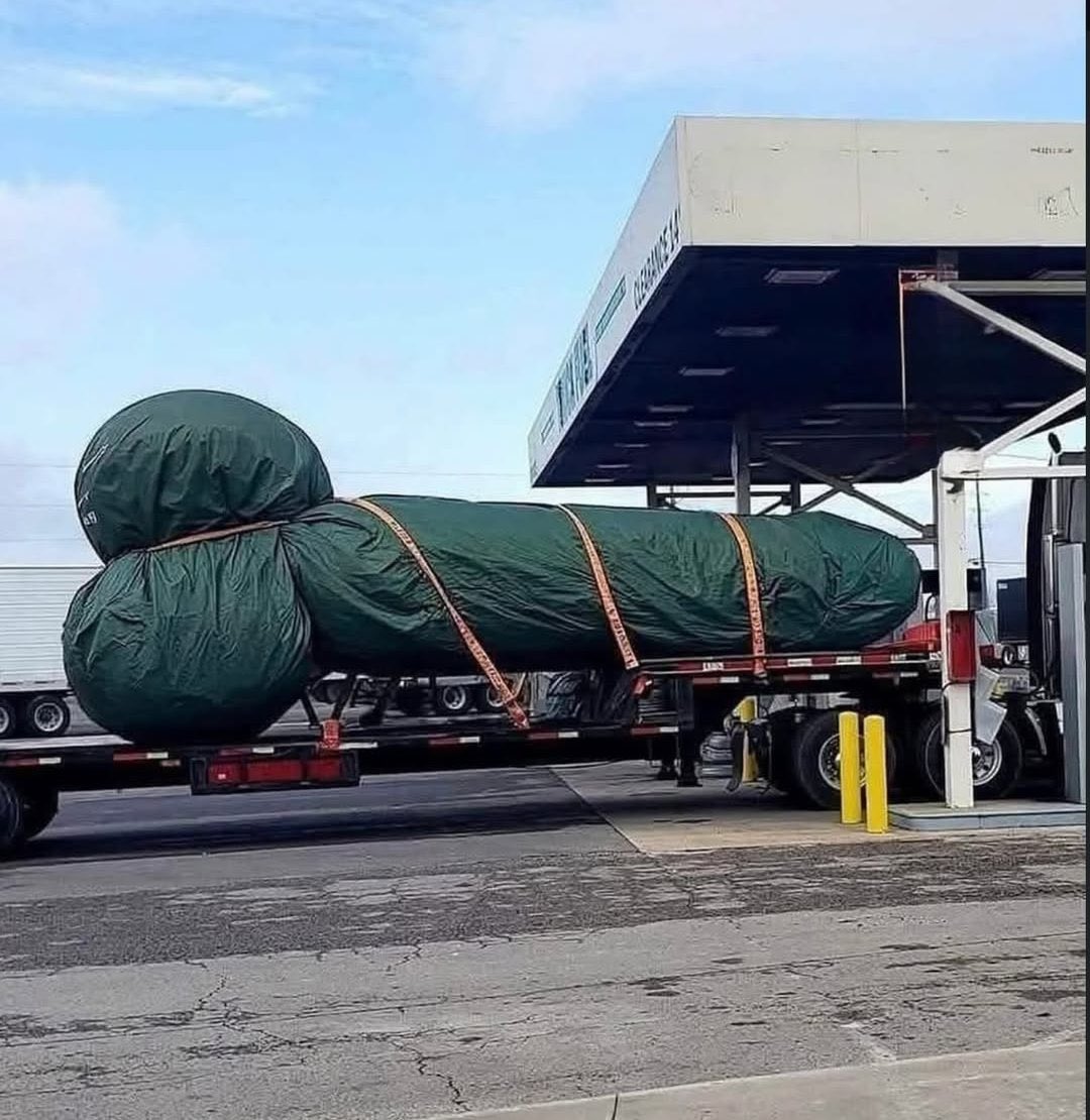 Christmas tree came in early