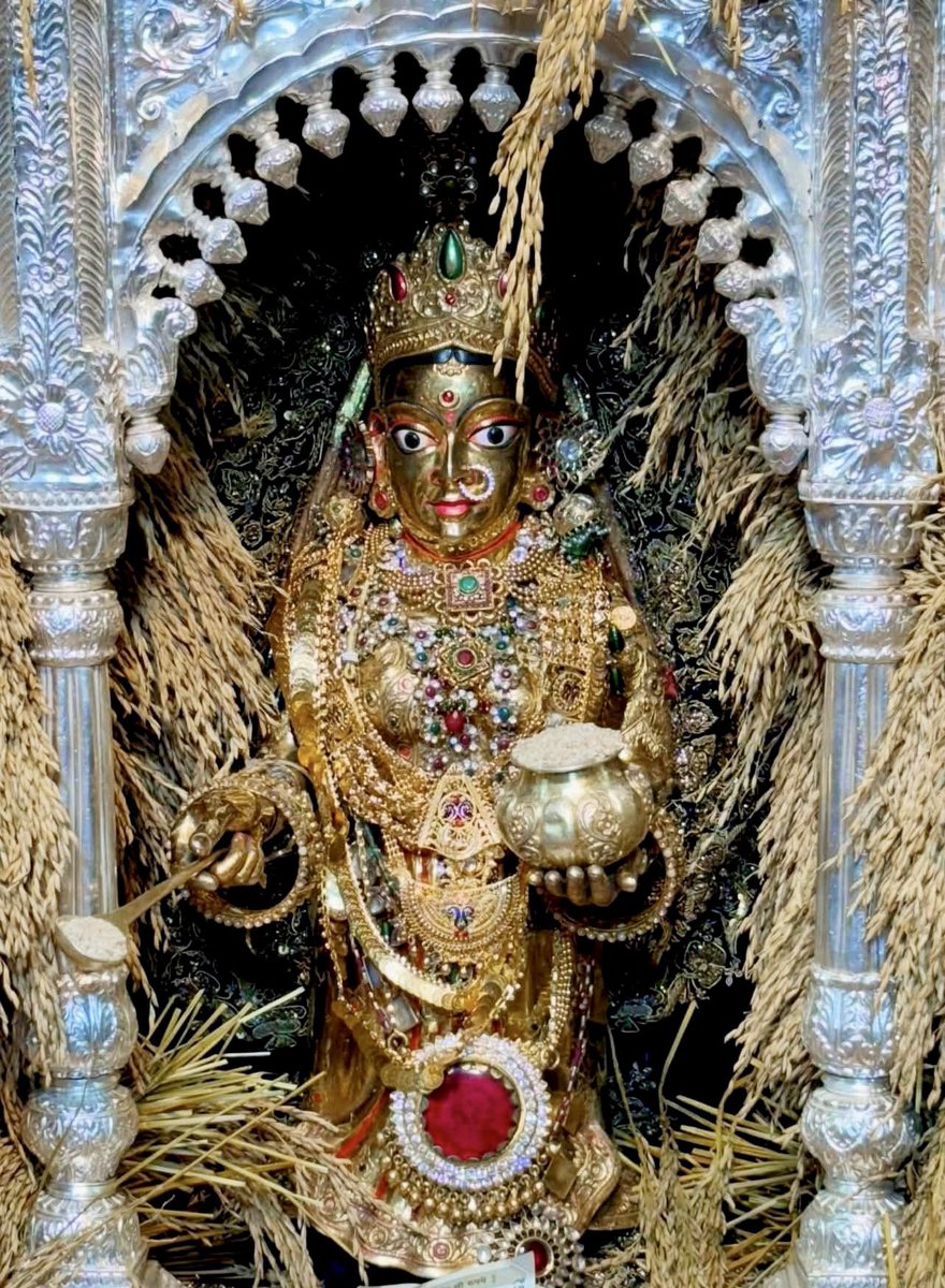 Jayalko1's tweet image. काशी से माँ  अन्नपूर्णा के धान श्रृंगार दर्शन 🌾