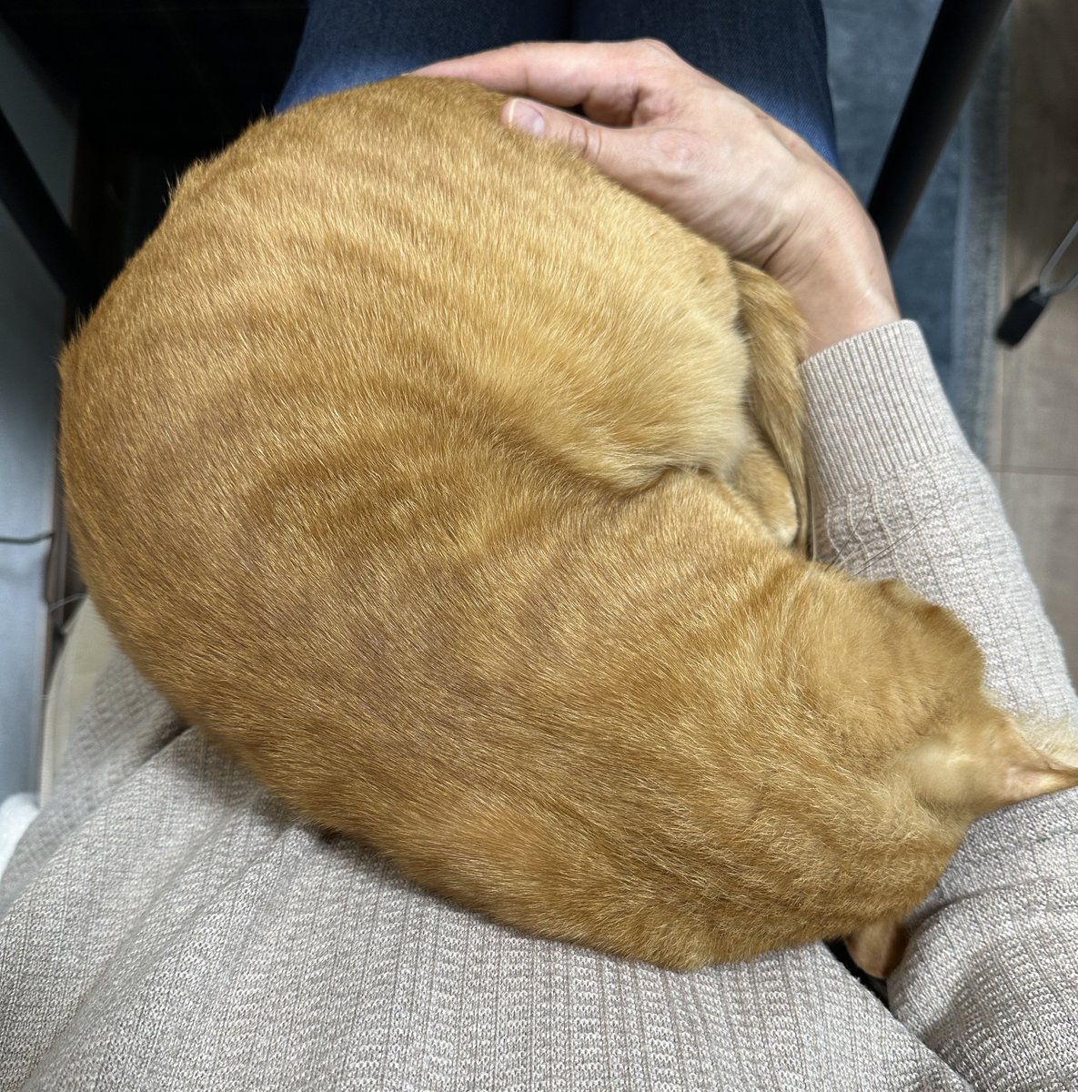 もっちページ MOTCH(もっち)/本山 周 (@motchbass) / Posts / X