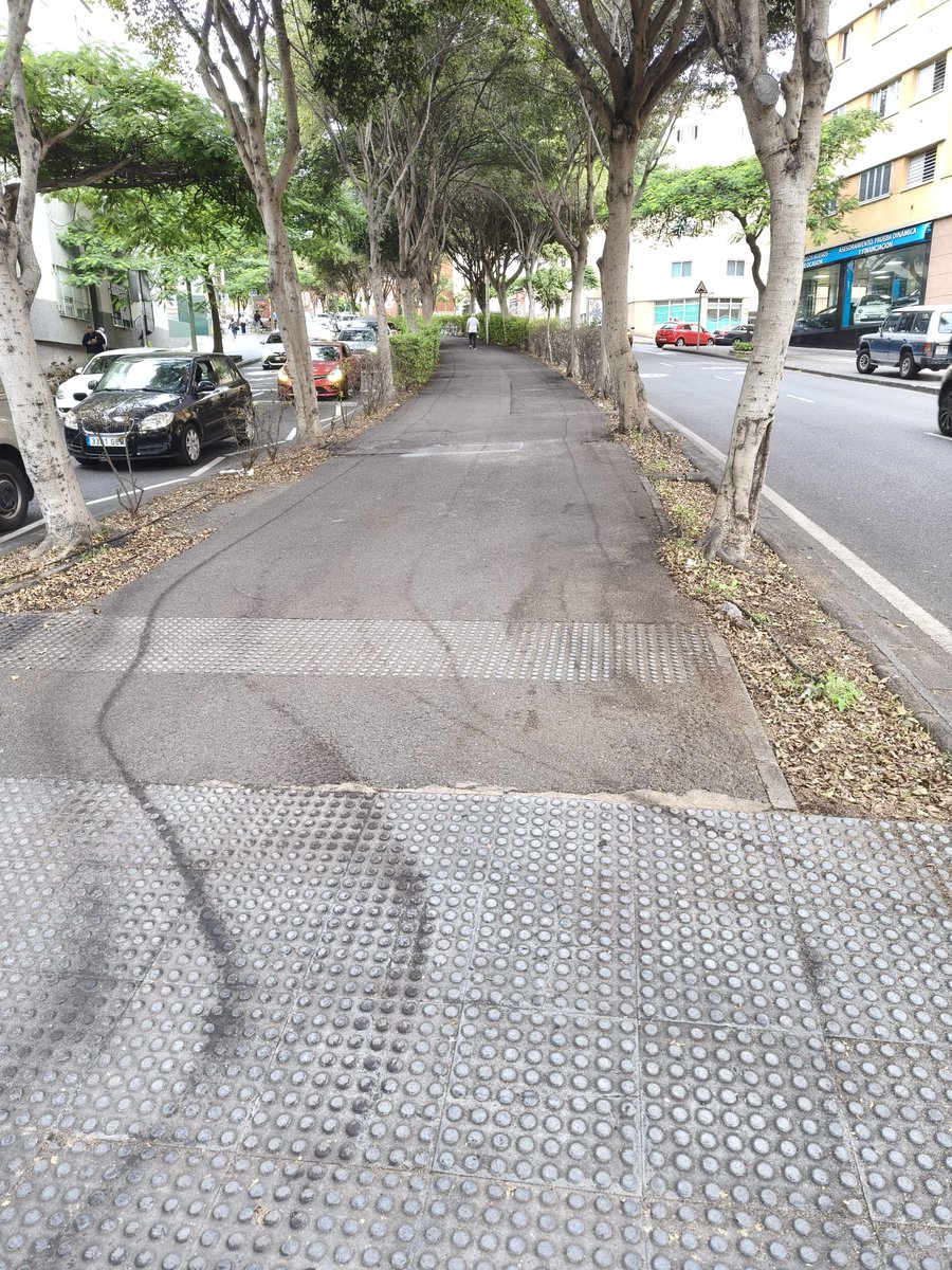 🌍💧 <a href="/LimpiezaLPGC/">Servicio Municipal de Limpieza</a>  ha actuado en #Tamaraceite con tareas combinadas de hidro, barredora y baldeo para cuidar el barrio.

Una intervención que refleja el compromiso continuo con el mantenimiento de nuestro distrito. 🧹🌿

#distritotamaraceite