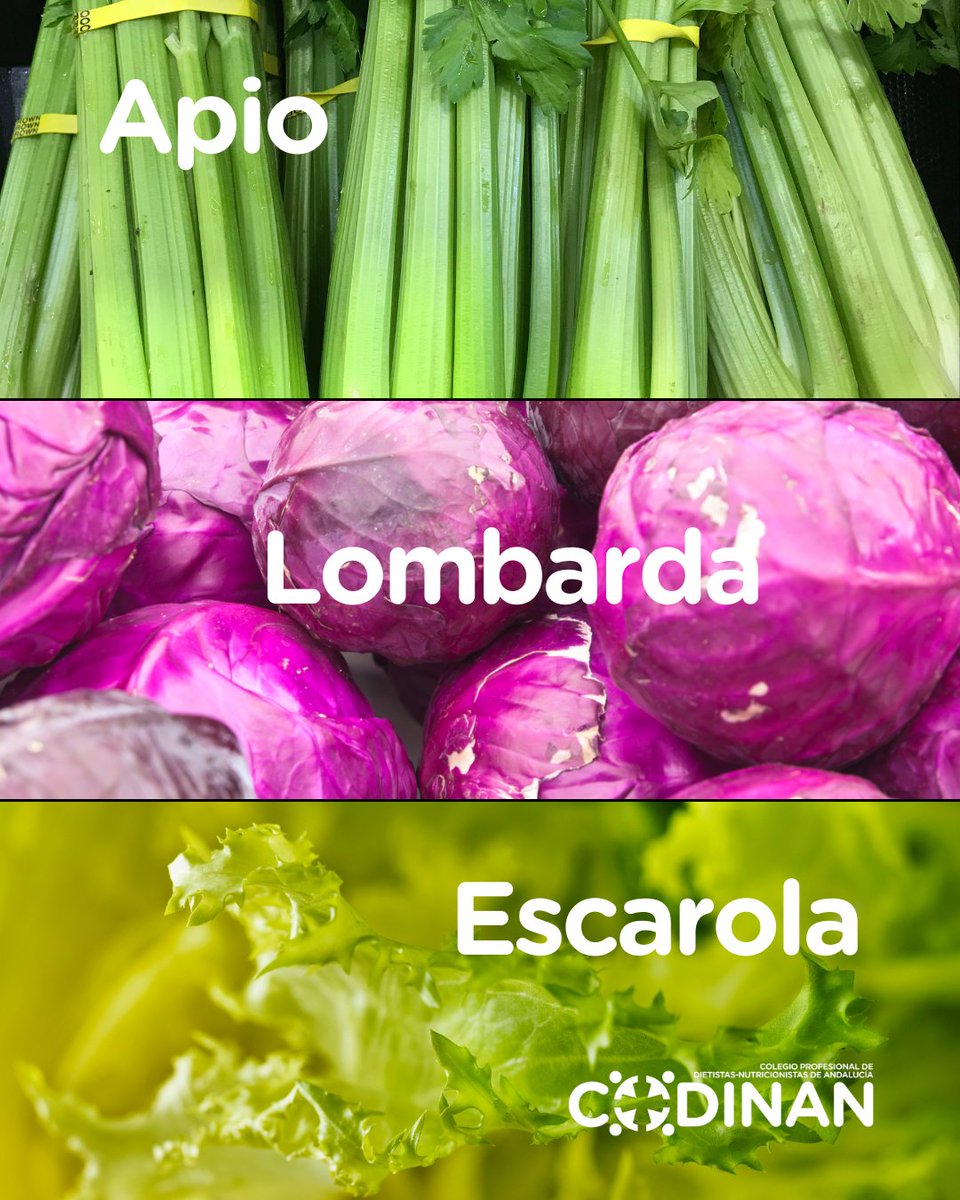 DN_Andalucia's tweet photo. 🍊 Diciembre sabe mejor con productos de temporada. 

❄️🥬 En este mes cargado de tradiciones y también de atracones, es muy importante que potenciemos el consumo de #frutas y #hortalizas.

Y sí, también puedes incluir todos estos productos en tus menús navideños. https://t.co/Sqb6juwcuy
