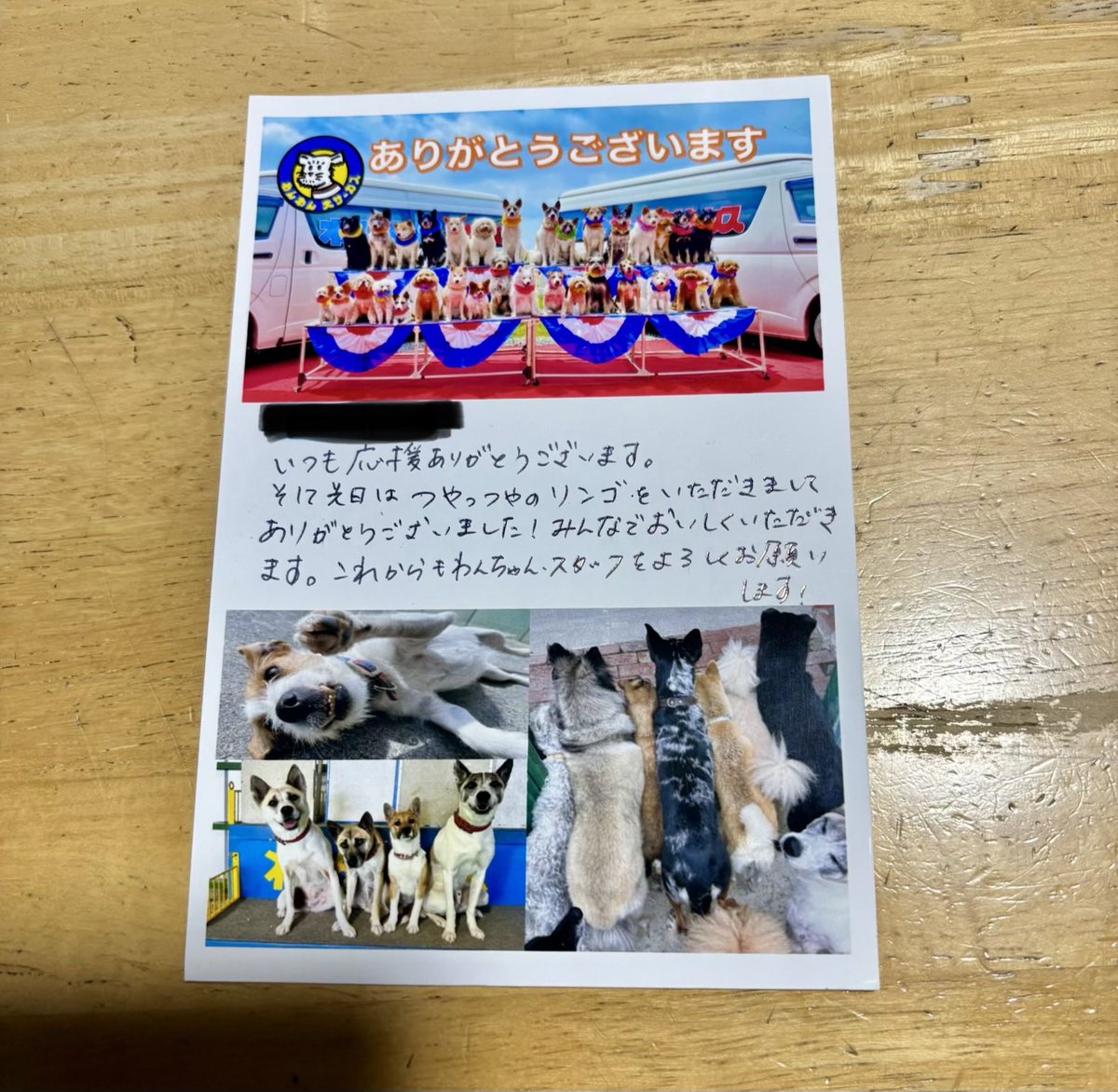 nutsppm's tweet image. わんわん大サーカスからお礼状が届いた‼️☺️

#わんわん大サーカス
#ZASH