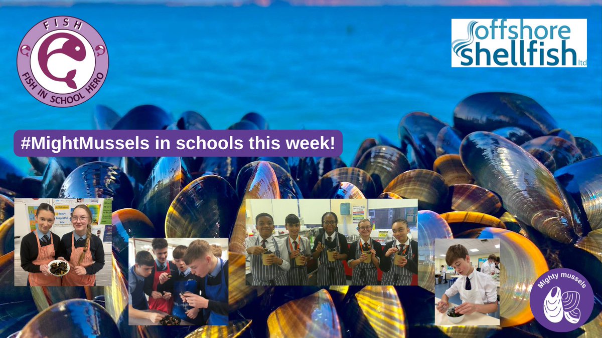 HeroesFish's tweet photo. We're thrilled that 2000kg of mussels, donated by @OffshoreShell, will be delivered to 200 schools this week by #DFDS!
We can't wait to see what 1000s of pupils will do, becoming real #FishHeroes!
Find out more⤵️
https://t.co/rmepsfjve2 https://t.co/znpBrhMSah