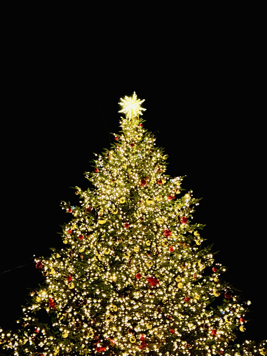 恵比寿ガーデンプレイス周辺はほぼクリスマス🎄