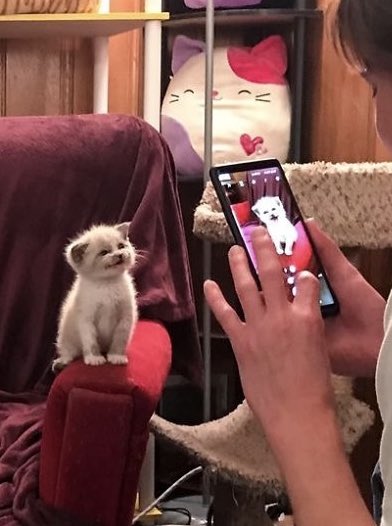 trynabap's tweet image. 