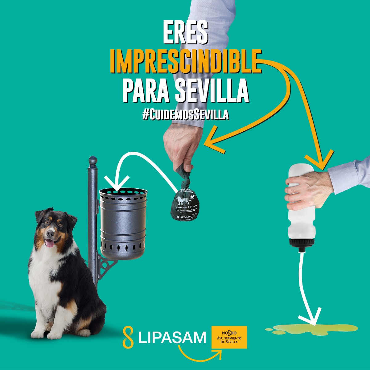 Eres Imprescindible para Sevilla

Solo contigo el paseo con tu mascota puede ser respetuoso con la ciudad
Lleva siemrpe la bolsa para recoger los excrementos y una botella para diluir el orín

#cuidemosSevilla
<a href="/Ayto_Sevilla/">Ayuntamiento de Sevilla</a> <a href="/eveliarincon/">Evelia Rincón</a>