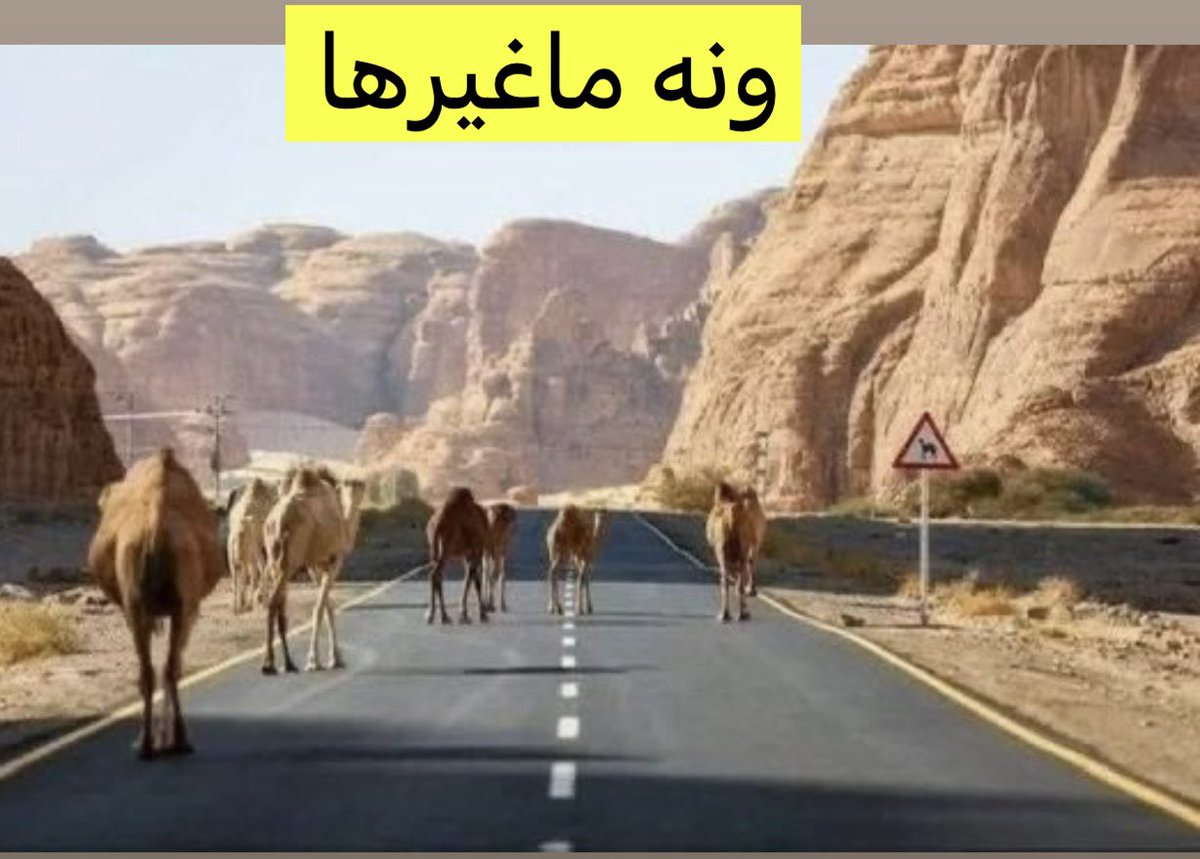 <a href="/f_alkruz/">فراج الكروز</a> ورجعنا للأجواء الجميله في #مجلس_الصياهد لأنّي أحب الأجواء اللي تجمع التراث بالمتعة 🐪✨
سويت الشروط وتابعت الحساب والقناة، وبإذن الله يكون لي نصيب من الجوائز الحلوة 🌟

متفائلة… ويمكن تكون هالمشاركة سبب خير كبير 🤍
الله يوفقني ويوفقكم جميعًا 🙏✨

<a href="/f_alkruz/">فراج الكروز</a> 

<a href="/Sahraachannel/">قناة الصحراء</a>