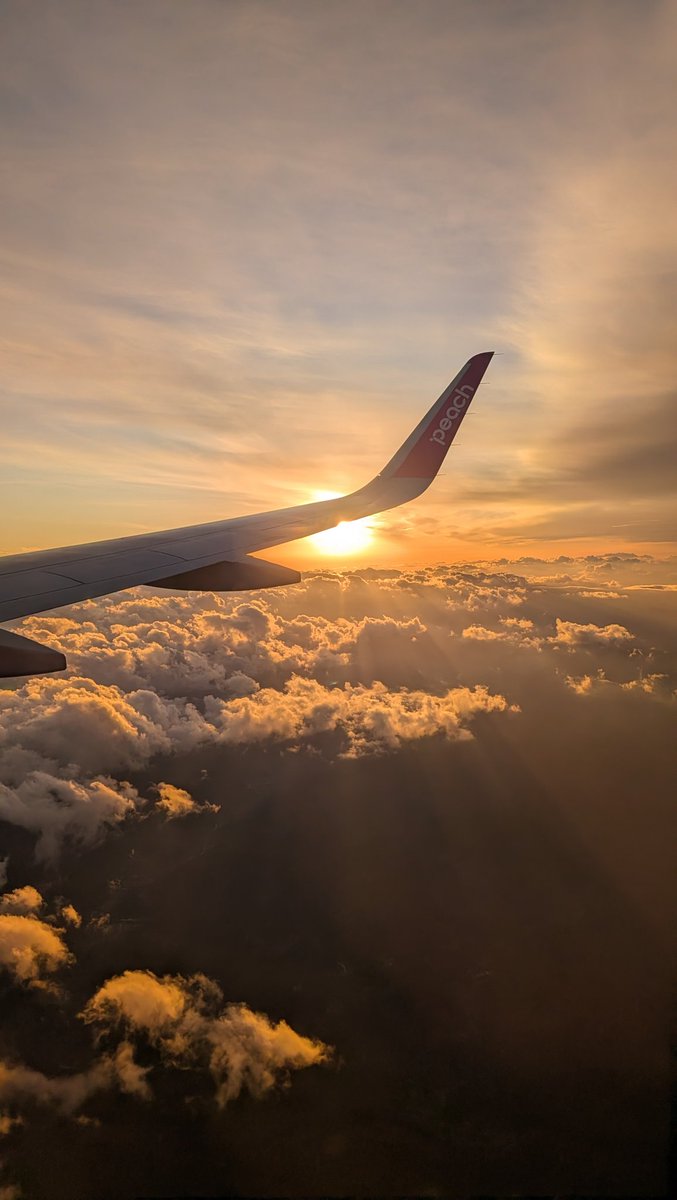 takeuchi_posts's tweet image. いい写真撮れました！