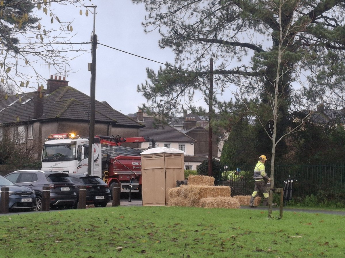 mycorkcity1's tweet image. &quot;I hope #corkcitycouncil aren&apos;t planning to cut down this perfectly good #tree by the stream near #Glendaleroad n #clashduvroad #corkcity
