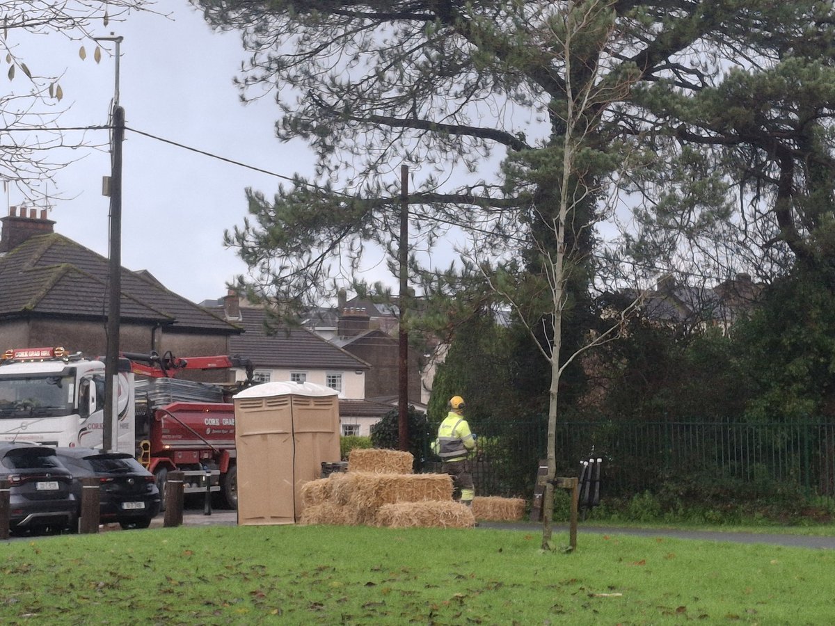 mycorkcity1's tweet image. &quot;I hope #corkcitycouncil aren&apos;t planning to cut down this perfectly good #tree by the stream near #Glendaleroad n #clashduvroad #corkcity