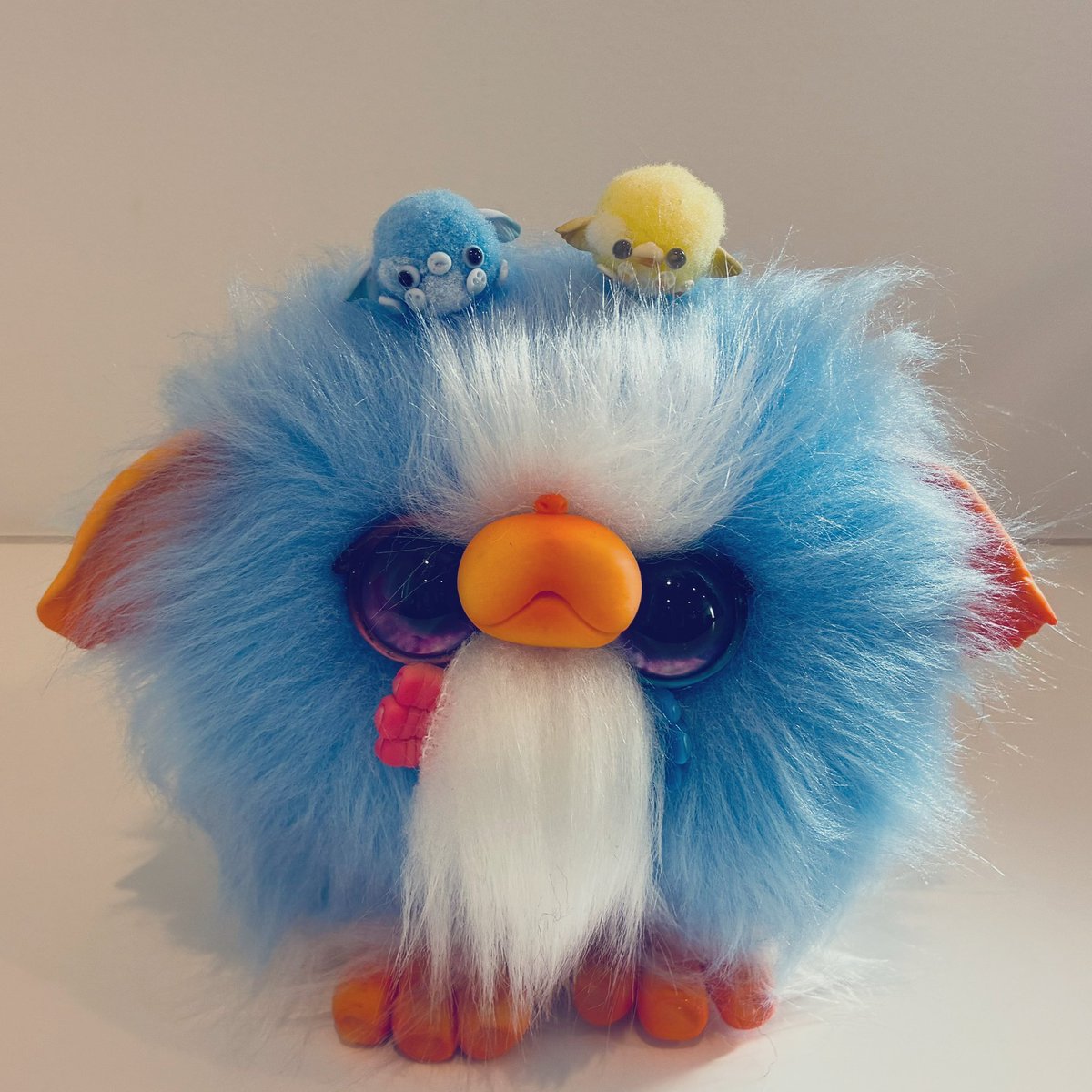 Foidoll-ふぉわどーる🧛‍♀️1500でプレ企画🎁やります (@foidoll