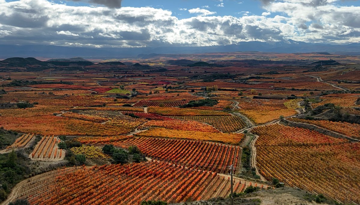 Camina entre viñedos en esta villa medieval 🍇

📍Laguardia lleva siglos produciendo algunos de los mejores vinos del mundo y esta historia ha marcado sus paisajes.

Viñedos kilométricos de color dorado y bodegas con arquitecturas increíbles ✨

👉 ow.ly/Z40H50XvBBP