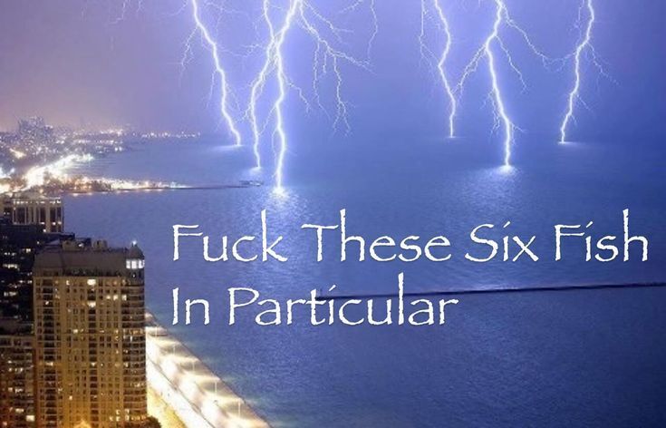 hourly_shitpost's tweet image. 