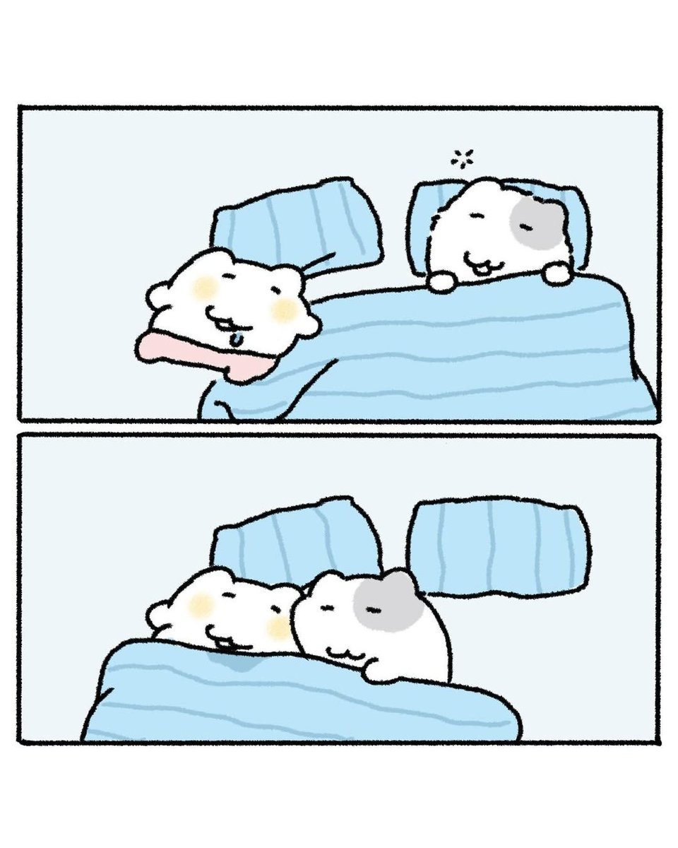 nyanmon_jp's tweet photo. どこいくの～風邪ひくよ～ https://t.co/9BiwrucObv