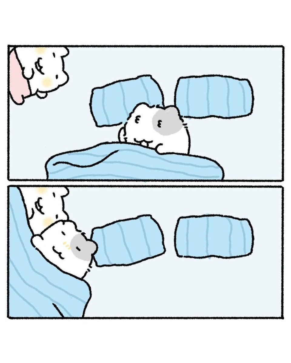 nyanmon_jp's tweet photo. どこいくの～風邪ひくよ～ https://t.co/9BiwrucObv