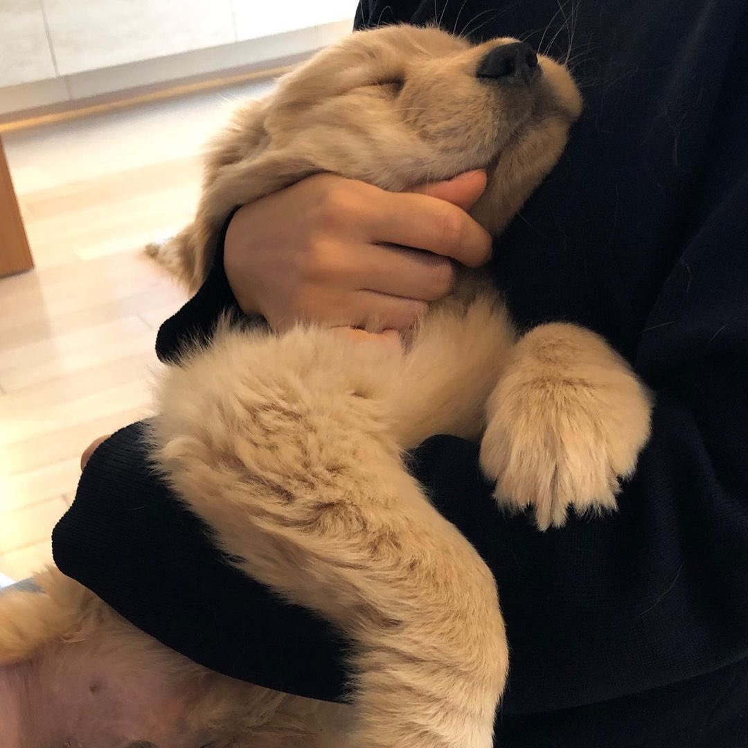 ม่ายอาว อย่าทิ้งช้าน หอมชั้นหน่อยน้า จุ้บหุวชั้นด้วยเบบี๋ 🥺