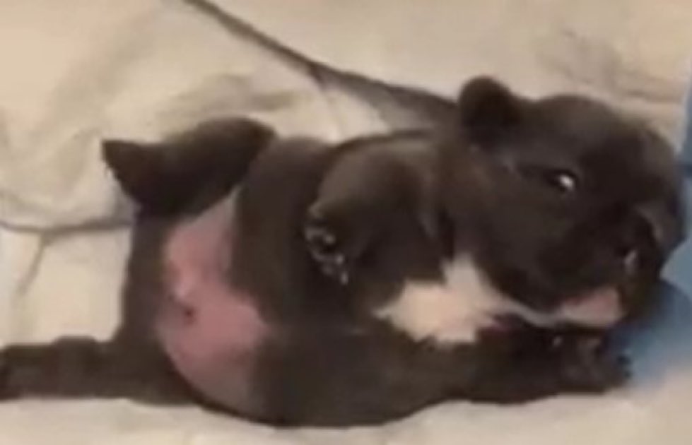 liacelora's tweet image. imagina me odiar, enquanto eu estou assim no meu quarto