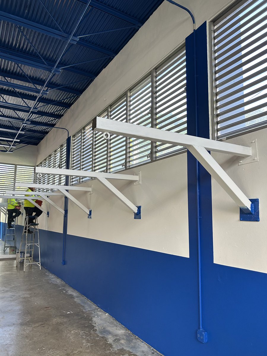 Boxing Bullies tweet media