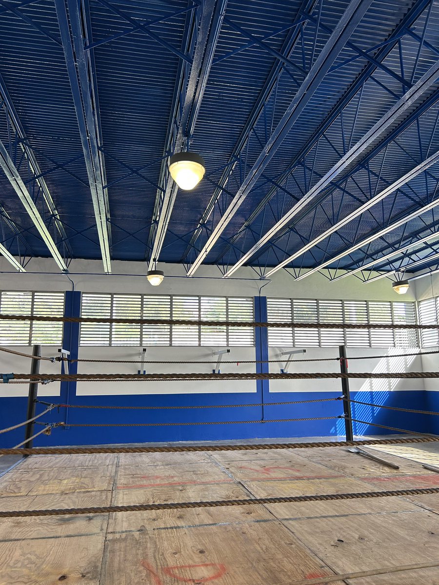 Boxing Bullies tweet media