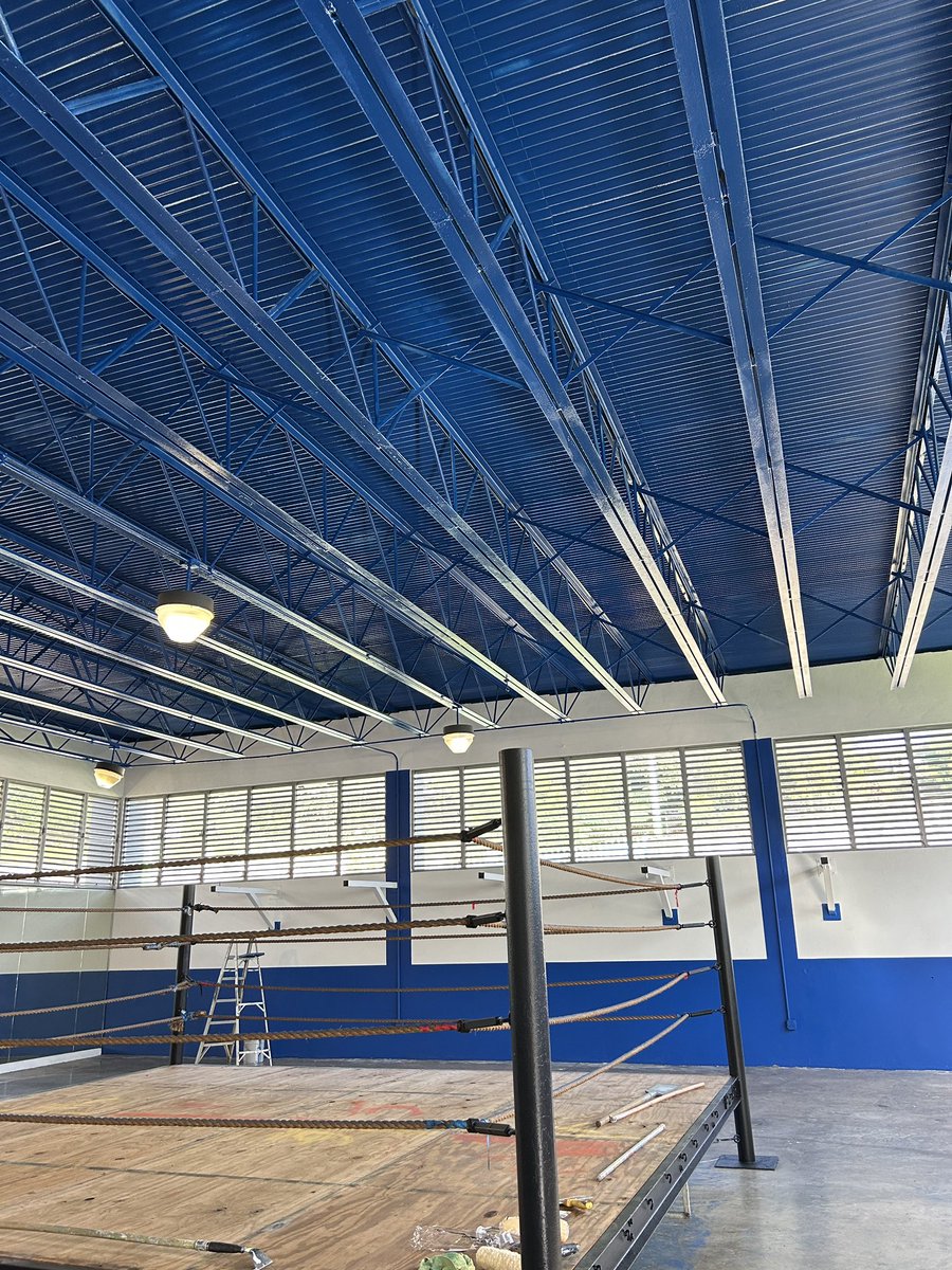 Boxing Bullies tweet media