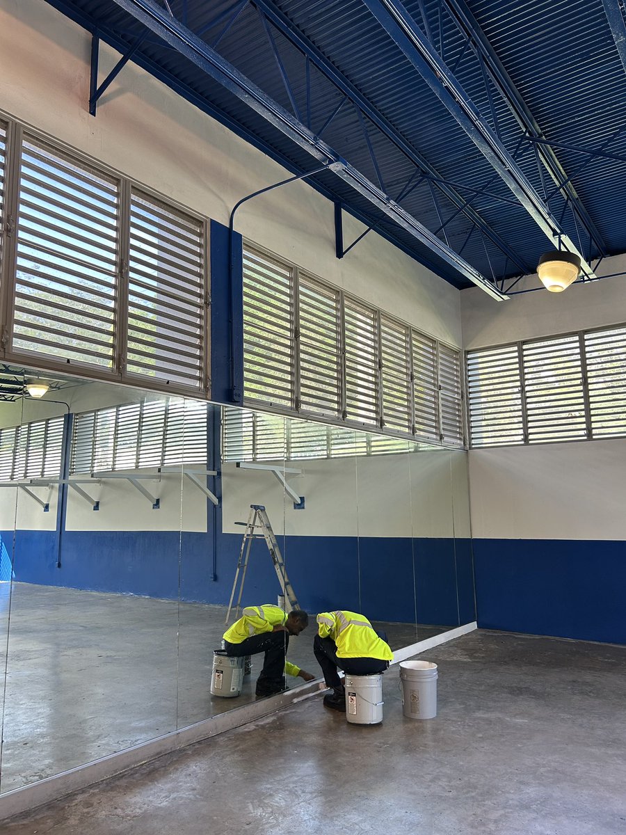 Boxing Bullies tweet media