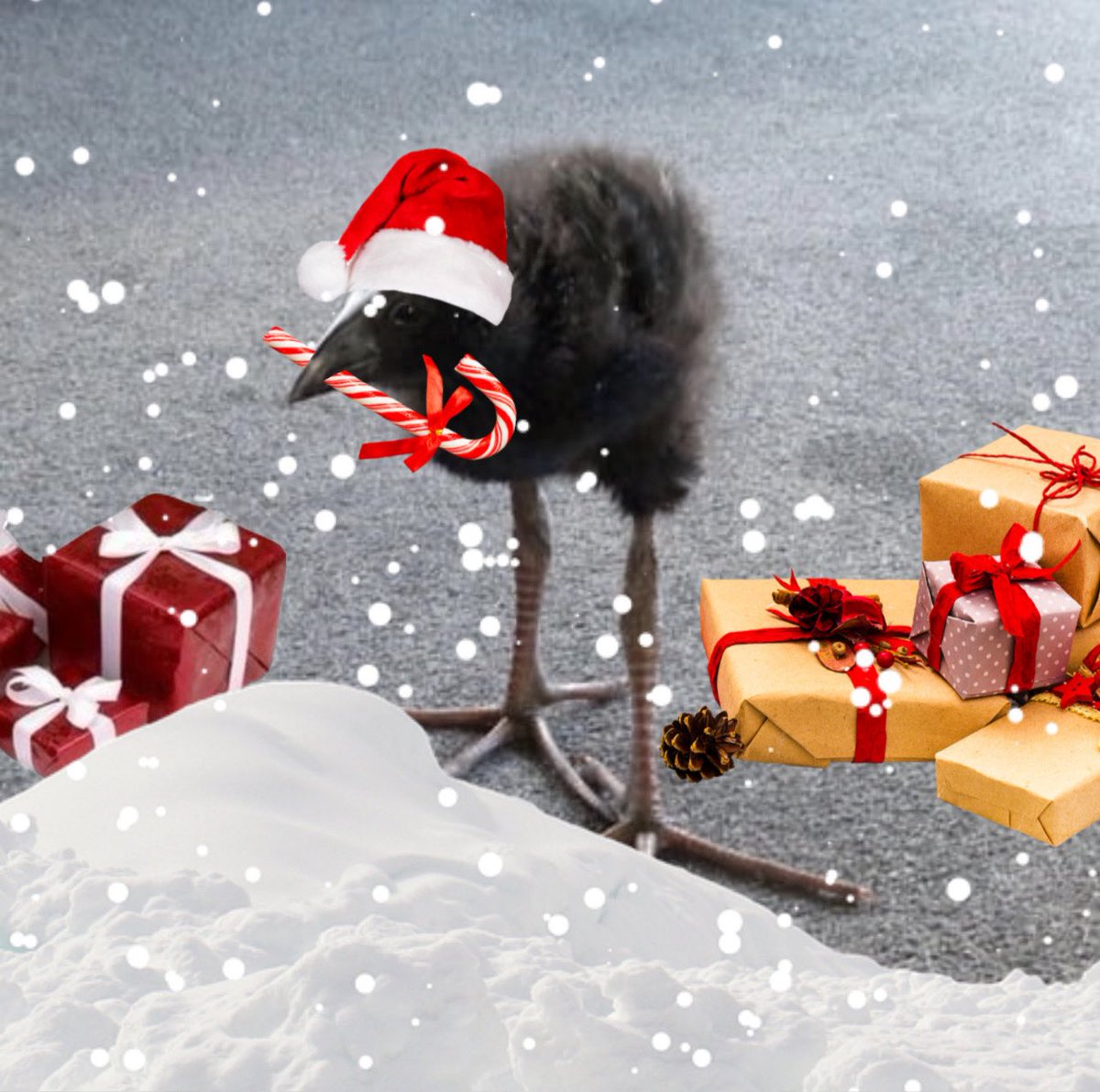 DAMNCEMBER!!!!!!!!!!!!!!!!!!!