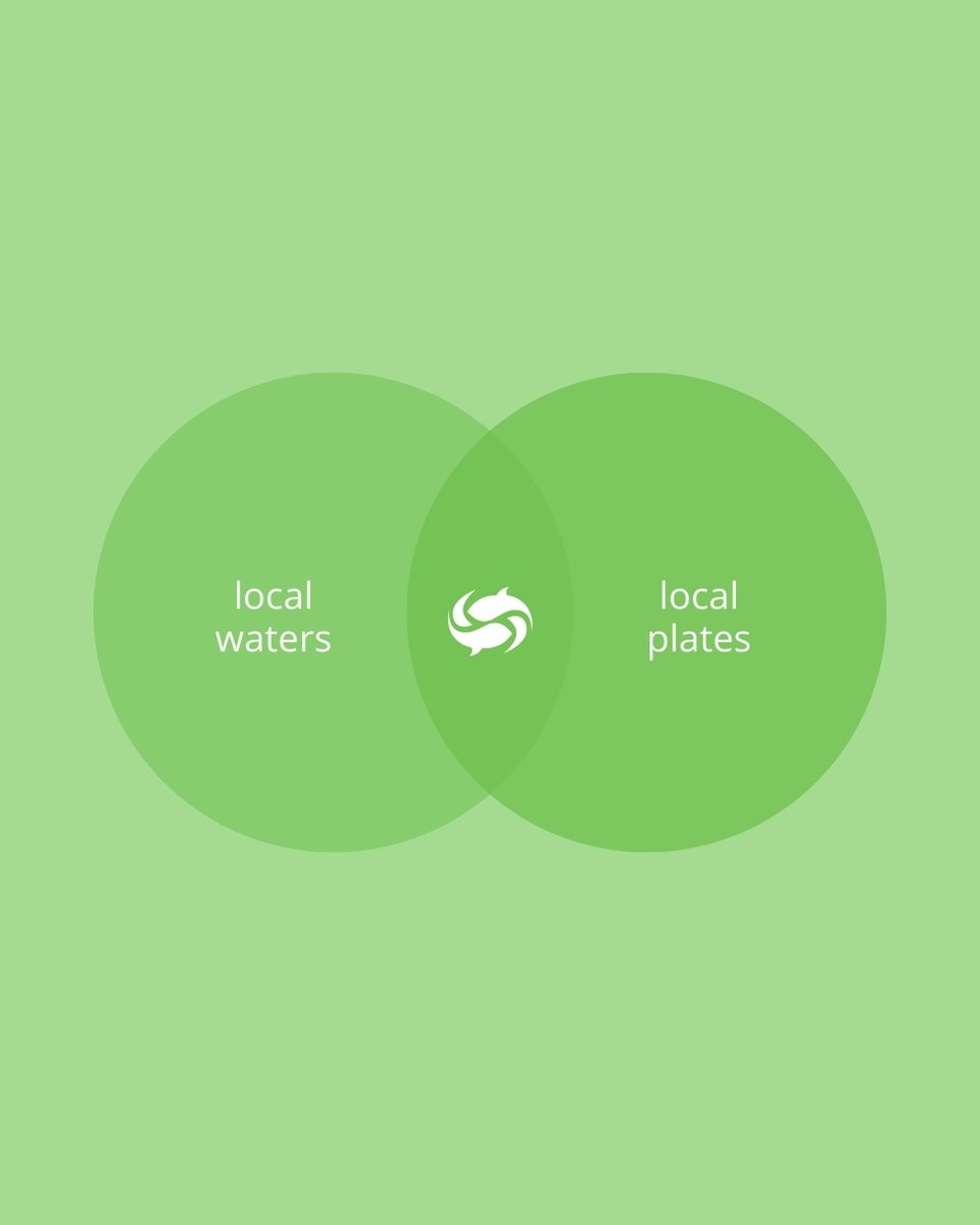 From our local rehabilitated ecosystems to Ontario supermarkets in under 24 hours 🕜

It doesn't get fresher than this! 🐟🌱 #OntarioFish #LocalFish