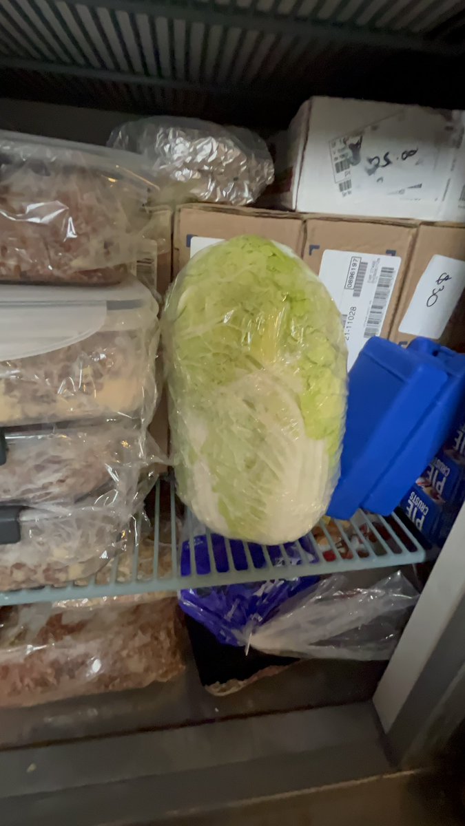 Danielle - Diva Q® tweet media