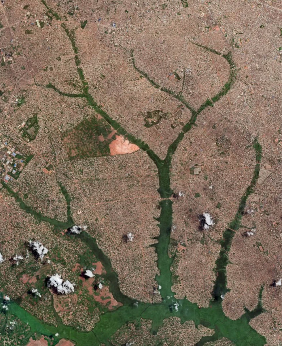 Néstor Siurana tweet media