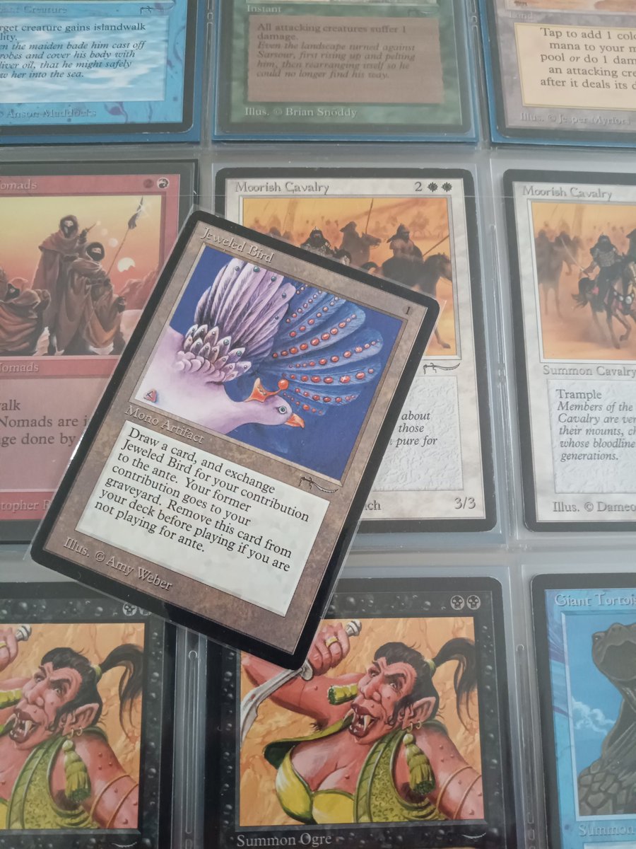 新しく入手した アラビアンナイトの カードを眺めながら、 来年の収集