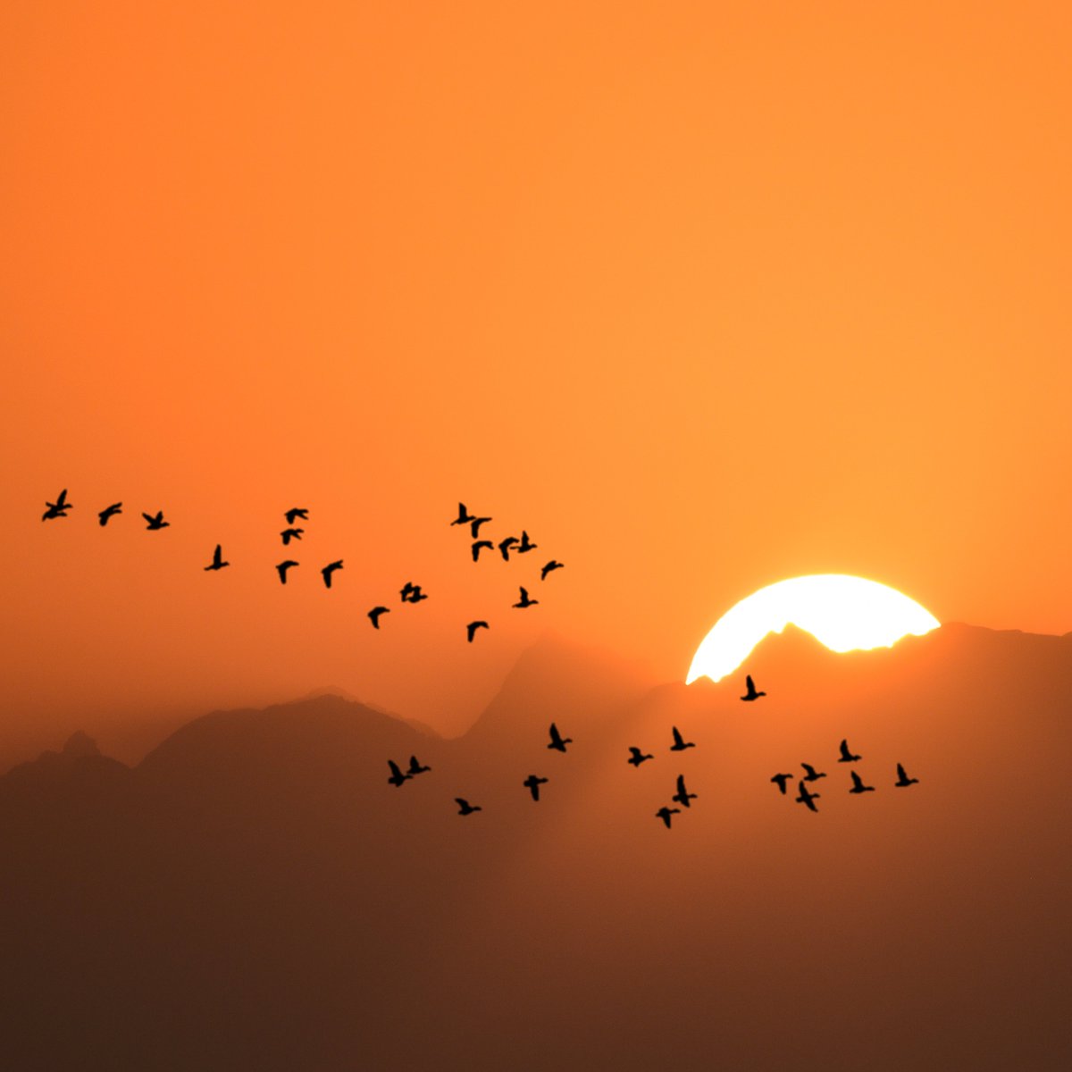 my art in different colors