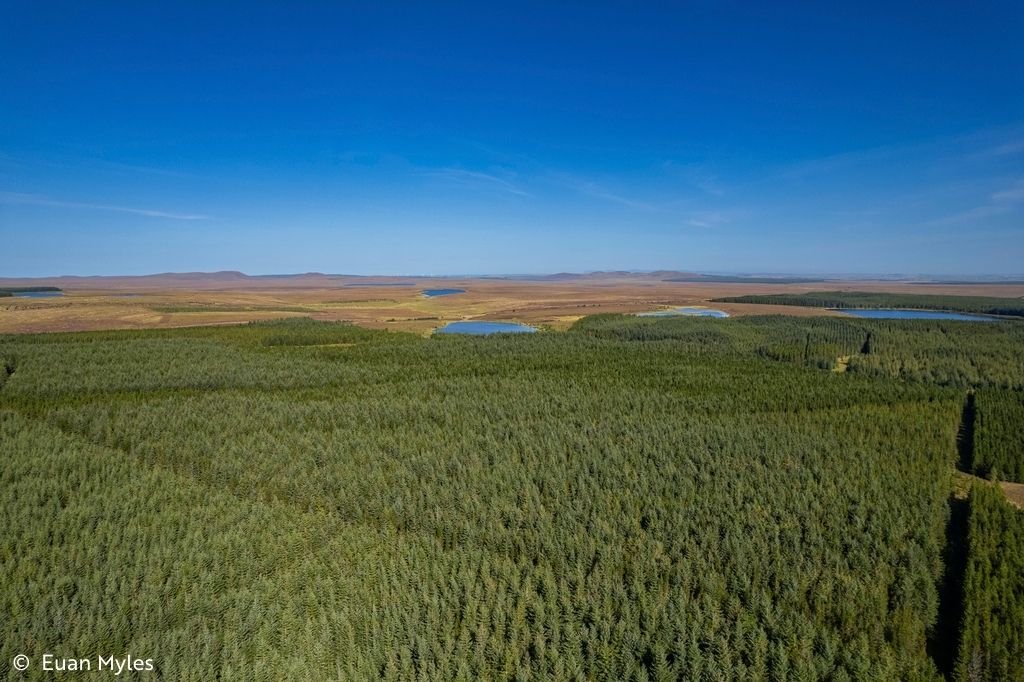 RSPBScience's tweet image. New #PhDproject with @ThinkUHI

Blurring the edges: assessing impacts from the spread of non-native conifers on birds, plants and hydrology in Scottish open blanket bog habitat mosaics

Closing date: 09-01-26
Location: Thurso, Scotland

Apply here: findaphd.com/phds/project/b…