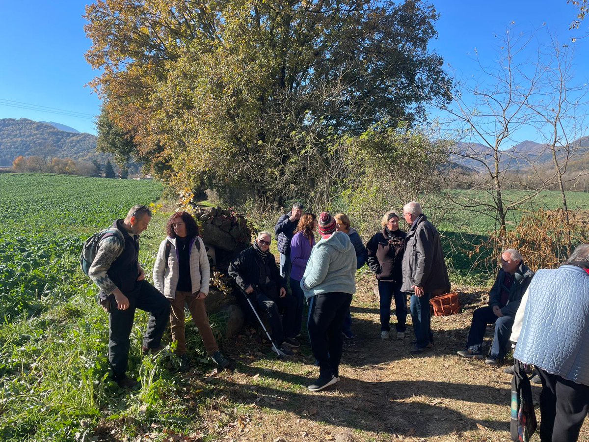 F. Hospital d'Olot tweet media