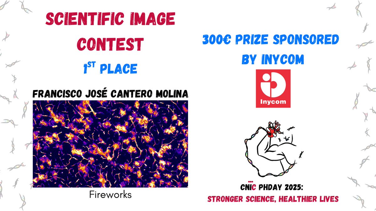 CnicPhday's tweet photo. Francisco José Cantero Molina is the winner of the Scientific Image contest of #CNICPhDay2025 Congratulations!!! 🏆 https://t.co/vXF0VfEj05