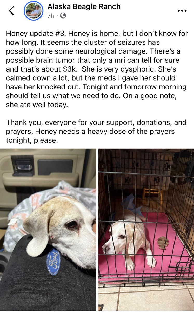 Prayers 🙏🏻🙏🏻🙏🏻 and positive thoughts are needed for Honey!!