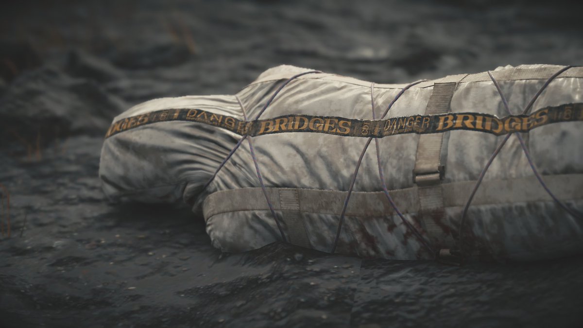 licolemes's tweet image. #DeathStranding
#DSPhotomodeCP_Dec