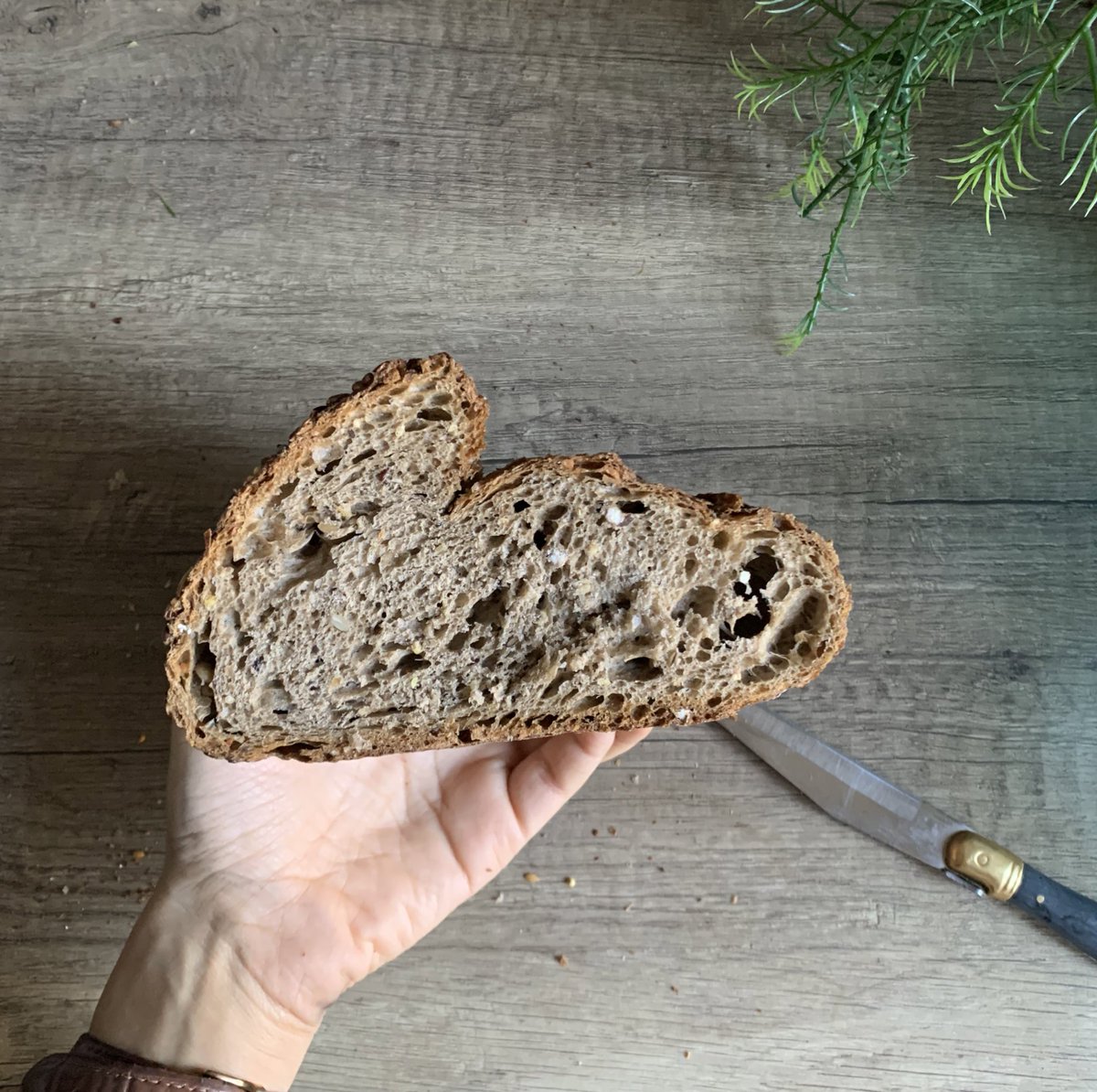 farnnesse's tweet image. There’s bunnies everywhere for those with eyes to see