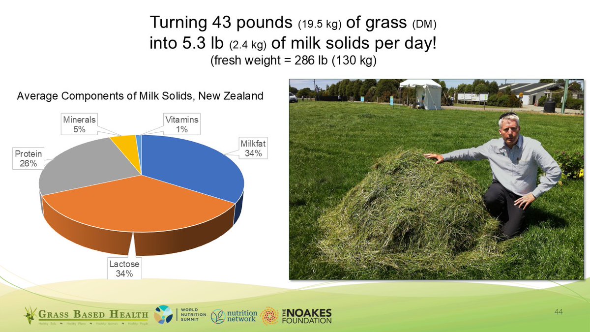 GrassBased's tweet photo. The real nutrition gap isn’t calories - it’s lysine, essential fats, B12, calcium, iodine, zinc, and other critical micronutrients. Ruminants provide all of them from grass.
@NutritionNetwrk @TheNoakesF 
#RuminantNutrition #MetabolicHealth #HiddenHunger #ProteinQuality #EssentialFats #DairyNutrition
 #Grasslands #FoodSecurity